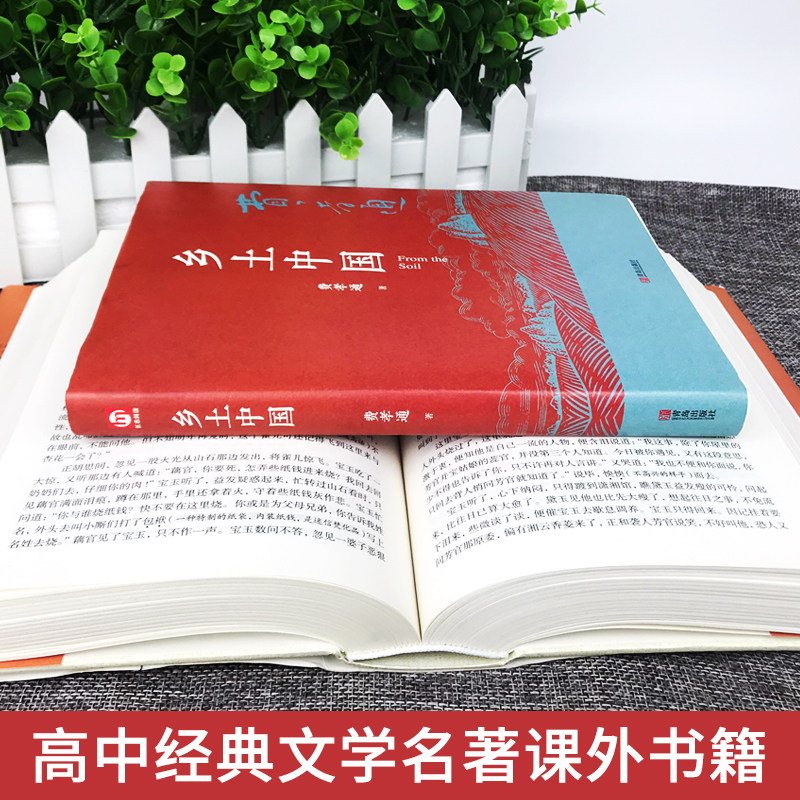 [完整版]全10册 大卫·科波菲尔+战争与和平+飘+悲惨世界+基督山伯爵 [正版]乡土中国红楼梦 高中课外阅读书籍必读语
