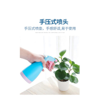 田园思 优质喷壶 500ML 个