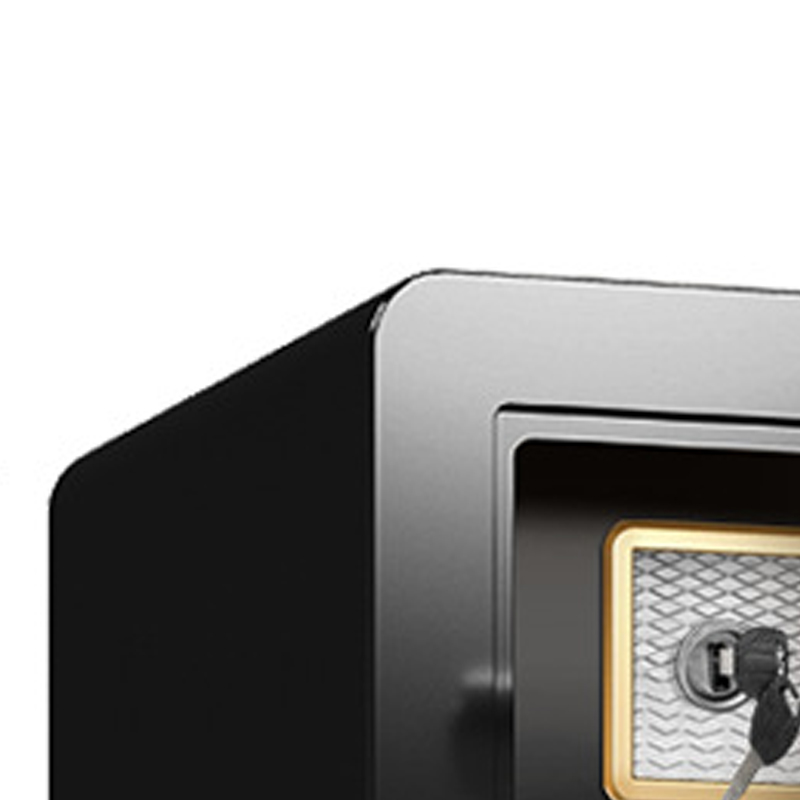 臻远 ZY40618091 小型保险柜密码保险箱全钢防盗保管箱 45cm黑色指纹密码款高清大图