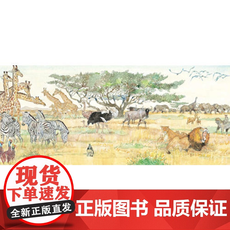 [ 正版童书]森林鱼童书:狮子和老鼠(凯迪克金奖,让孩子懂得友谊、宽容、感恩,经典版本)高清大图