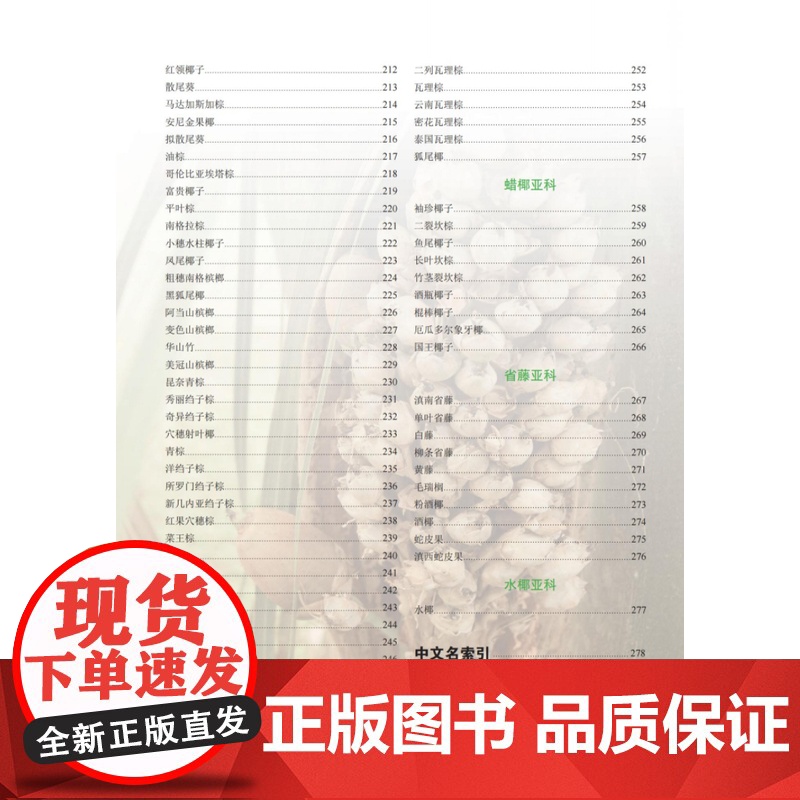观赏棕榈植物与景观 作者:宋鼎,刘敏,魏开云高清大图