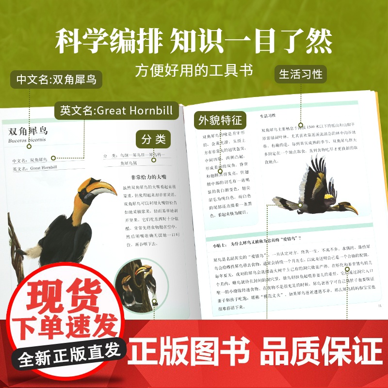 神奇动物在哪里马来西亚动物百科全书昆虫记中国少年动物博士陈睿著儿童趣味生物王国科普书小学生绘本动物书生态科普读物高清大图