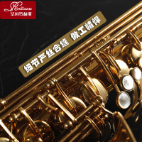 Rollinsax罗林斯中音萨克斯乐器 RSA-X3 正品成人降e调 黄铜萨克斯管/风