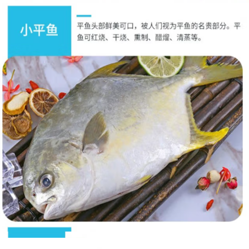 鲜禾鲜 国产海鲜系列 鲜禾鲜海捕小将国产海鲜礼盒C 鲜美可口 营养美味 2900g 单盒价高清大图