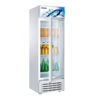 Haier 海尔 SC-242D立式冷藏展示柜 超市饮料柜 专用冰柜 冷柜 透明玻璃展示柜 饮料柜 全国联保带发票