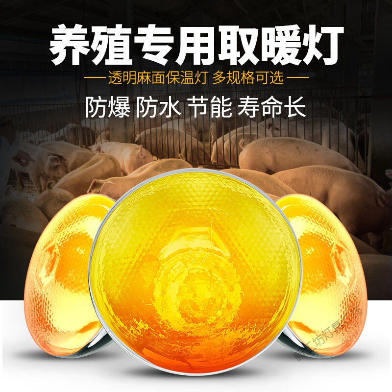 苏宁放心购 保温灯仔猪用鸡用设备保温灯泡 养殖猪场鸡场节能灯取暖灯加热灯高清大图