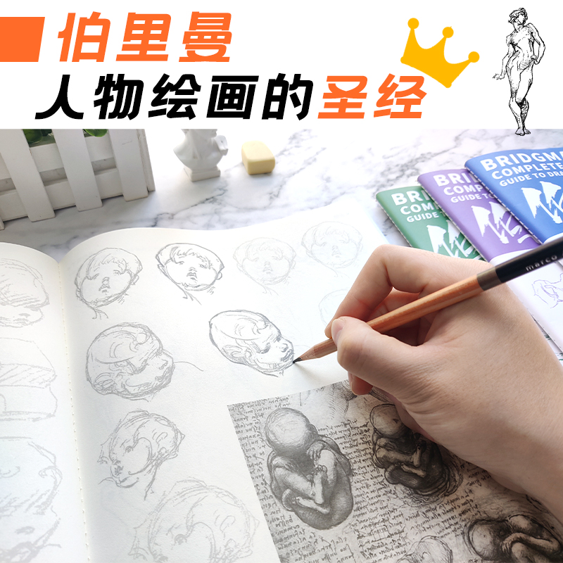 [正版]伯里曼 动态比例 篇 人体教学描摹本 伯里曼人体结构临摹描摹练习册 素描人体结构速写基础自学描摹练习册高清大图