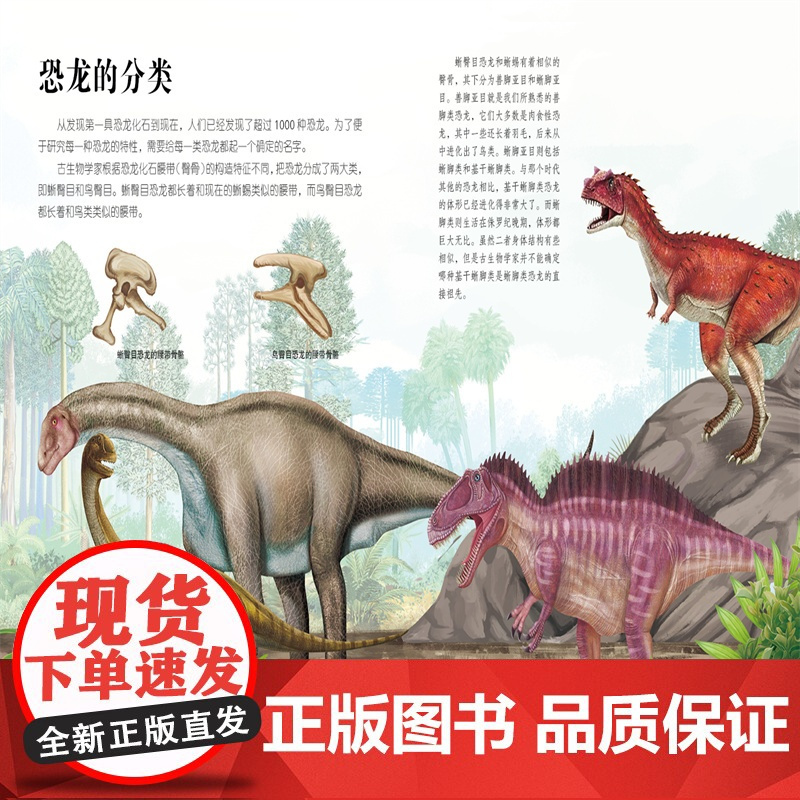 生命简史 穿越地球46亿年 恐龙的奥秘 6-12-15岁儿童中小学生青少年科普读物 宇宙起源地球形成生命诞生史前世界探索