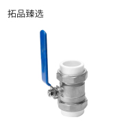 拓品臻选 PPR双活阀门 DN32 个