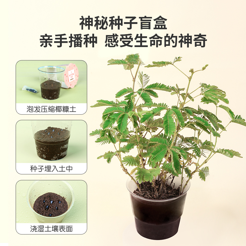 小小园丁- 儿童种植探索3D立体礼盒 [正版]小小园丁儿童种植探索3d立体花园 有趣的翻翻书3d立体书礼盒生日礼物女孩高清大图