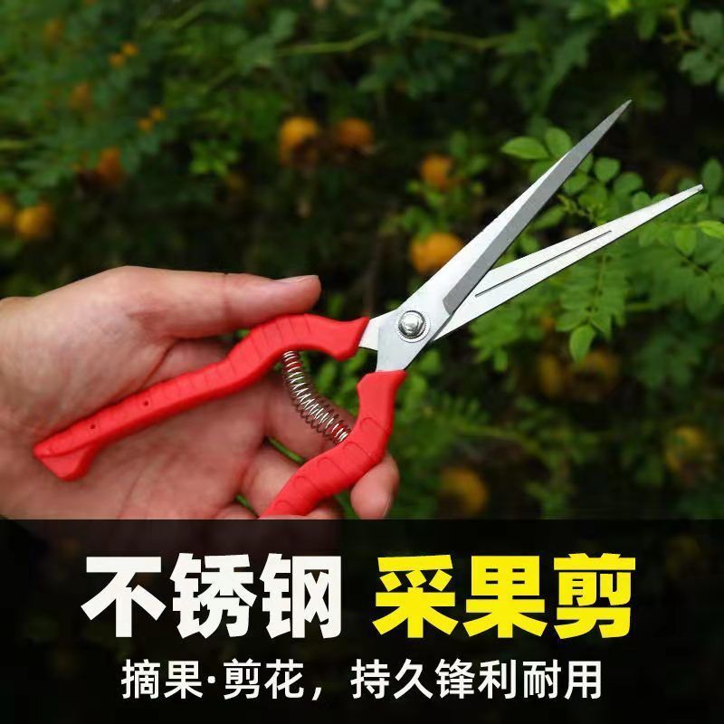修枝剪刀花艺剪刀摘果剪插花鲜花修花剪枝剪刀花艺师园艺剪子|*黑色大号修枝剪+备用弹簧 三把装[实惠]