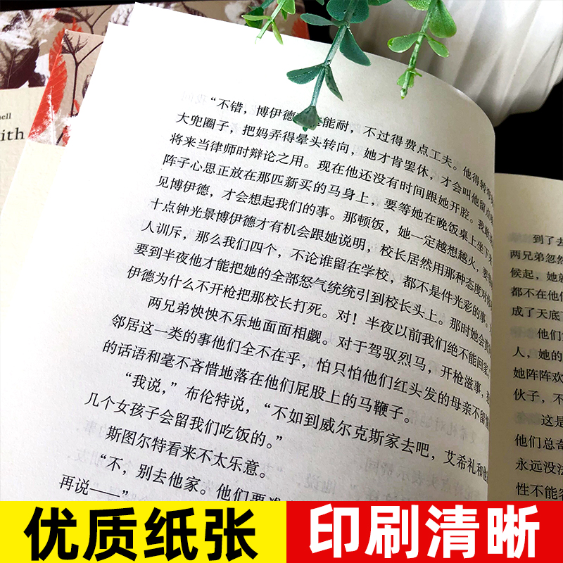 [全译本无删减]飘书上下册原版原著正版米切尔著经典世界名著外国文学长篇小说乱世佳人Gone with the wind中高清大图