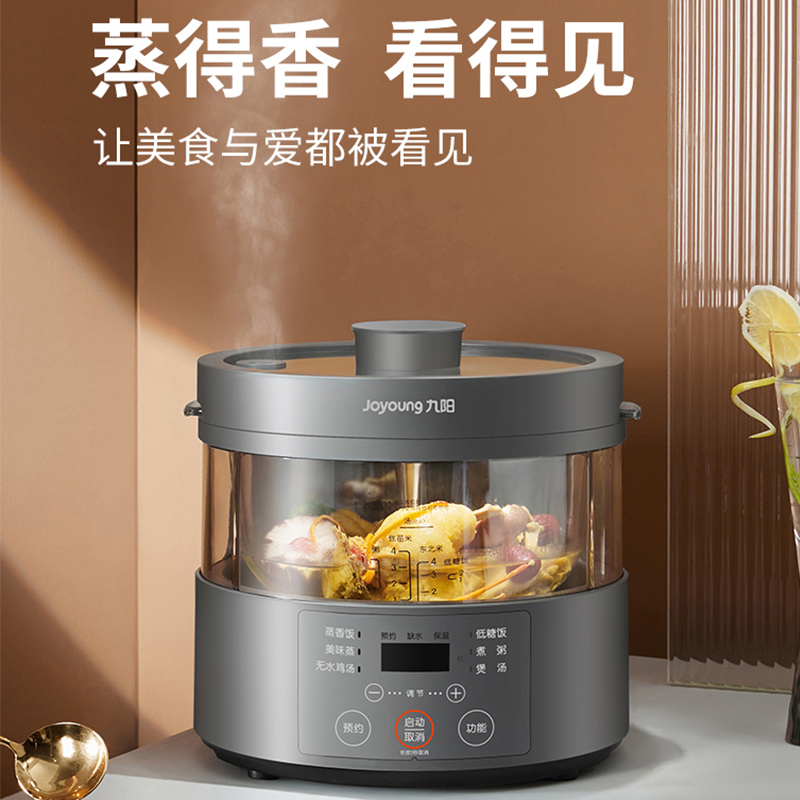 九阳(Joyoung) 蒸汽饭煲S160 家用智能蒸汽电炖锅 多功能电饭锅 玻璃内胆 3L大容量蒸汽锅