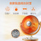 艾美特(Airmate)取暖器小太阳 1200W功率 家用电暖器立式烤火炉哑光不刺眼 桔色 HF12081T-W