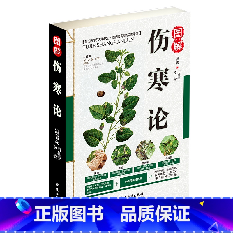 [正版]全彩图解伤寒论 解伤寒杂病论张仲景中医养生四大名著经典书籍保健养生中医入门级书 金匮要略温病条辨千金方本草 9高清大图