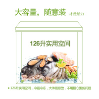 Soyea/索伊 BC/BD-126家用铜管迷你冷柜小型冷冻柜单温微霜小冰柜
