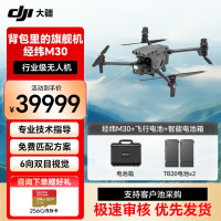 DJI 大疆经纬M30 测绘无人机 专业航拍高清4k 小型旗舰机 多方位避障【包含电池*2+电池箱*1】