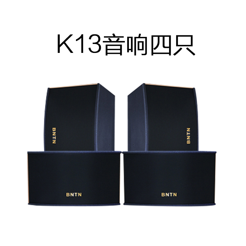 奔 腾8150会议音响套装