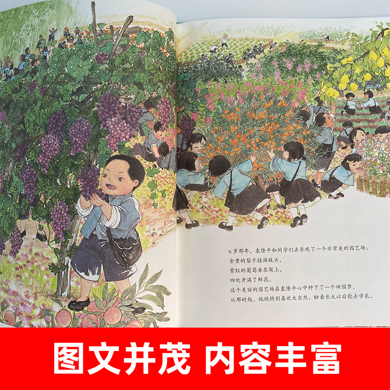 [1-3辑]共和国脊梁科学家绘本24册 [正版]一粒种子改变世界袁隆平的故事 共和国脊梁系列绘本 让孩子认识了解牢记袁隆高清大图
