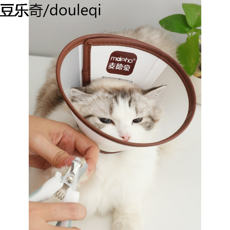 狗狗项圈猫咪伊丽莎白圈狗头套小型大型犬幼猫项圈小号脖圈专用品