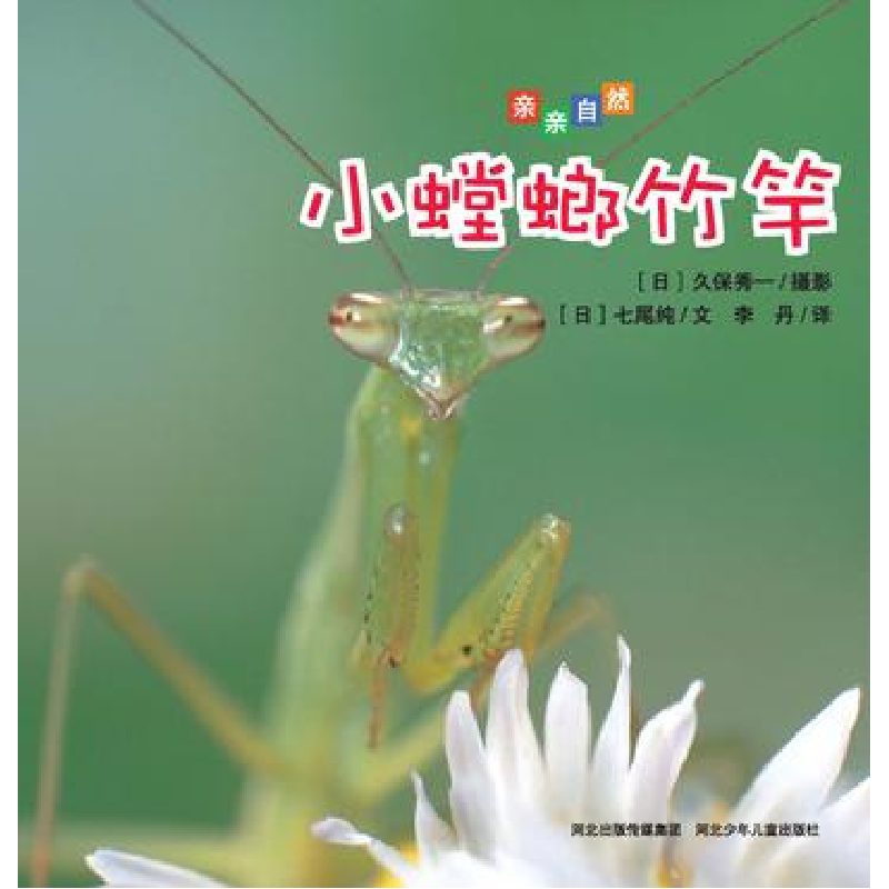 正版新书]小螳螂竹竿七尾纯9787537660884高清大图