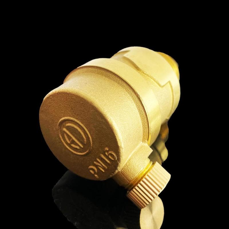 俊伟达单向排气阀自动黄铜快速放气阀暖气自来水管道空调快排阀一体DN20图片