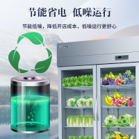 澳柯玛(AUCMA)VC-910AJ两门展示柜冷藏保险柜商用点菜柜饮料柜两门开门立式