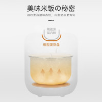 大宇（DAEWOO）FB08韩国电饭煲0.8L迷你小型家用电饭锅