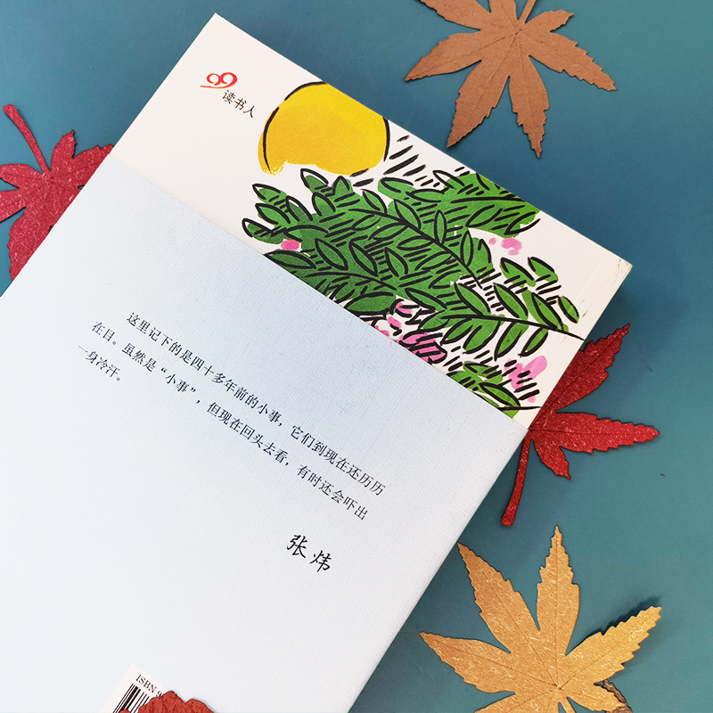 醉染图书描花的日子9787020127061高清大图