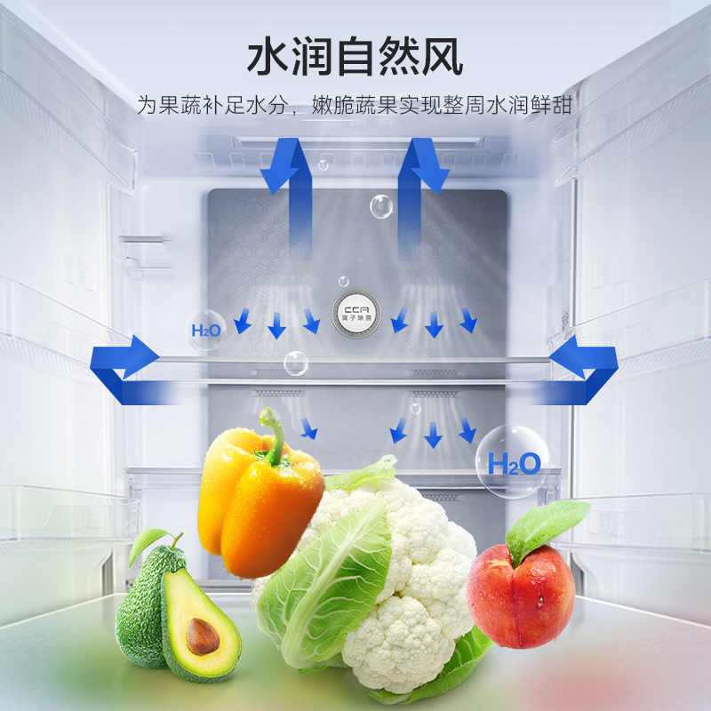 [官方正品]容声609升对开门冰箱 两门双变频节能一级能效CAA离子除菌净味 BCD-609WD11HP以旧换新高清大图