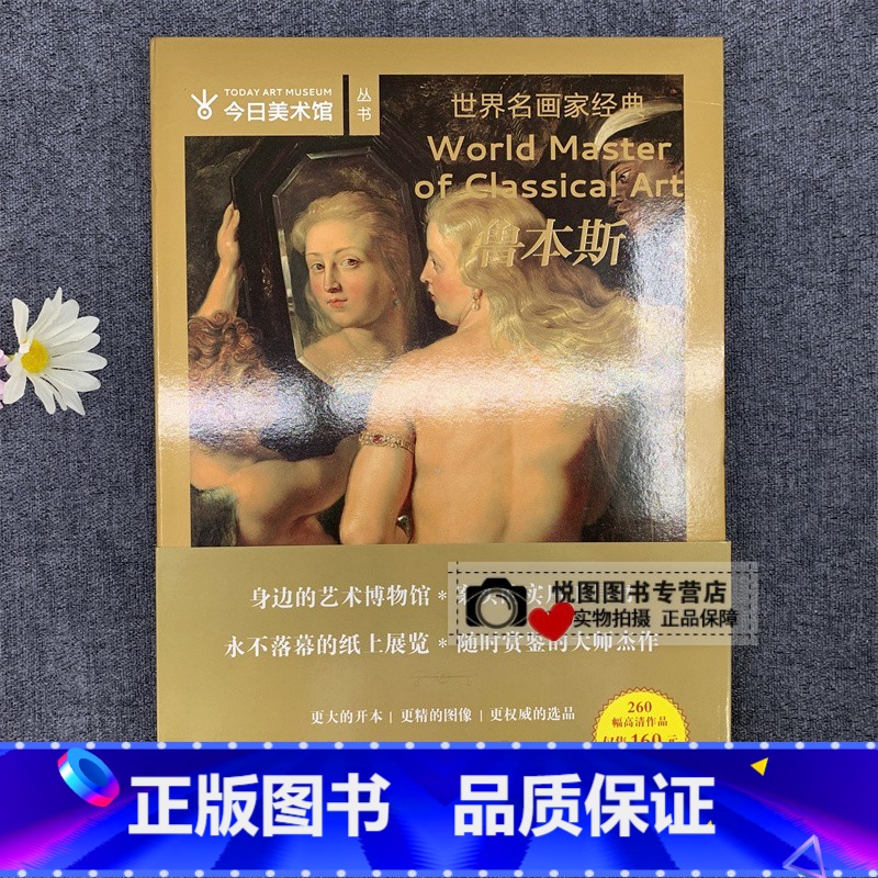 [正版]鲁本斯画集 世界名画家经典 今日美术馆丛书 古典绘画大师 鲁本斯油画作品集 260幅高清作品 四川美术出版社