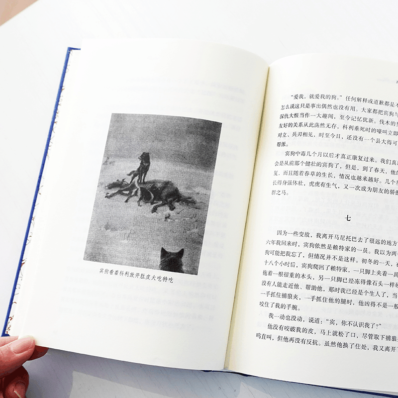 醉染图书西顿野生动物故事集9787544789424图片