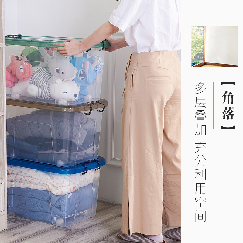 龙士达 炫彩55L整理箱(电商) DLJ-0016(DS)高清大图