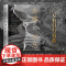 奔腾不息雨河岸海与亚洲历史的塑造[印]苏尼尔•阿姆瑞斯著王庆奖朱丽云译万有引力书系清华大学梅雪芹教授作序