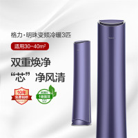 格力空调 明珠/黛山紫 3匹 新一级能效变频冷暖客厅柜机KFR-72LW/(72502)FNhCe-B1