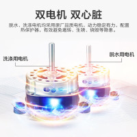 小天鹅(LittleSwan)TP80VDS08新品8公斤双桶 双缸 半自动洗脱分离洗衣机脱水机 家用