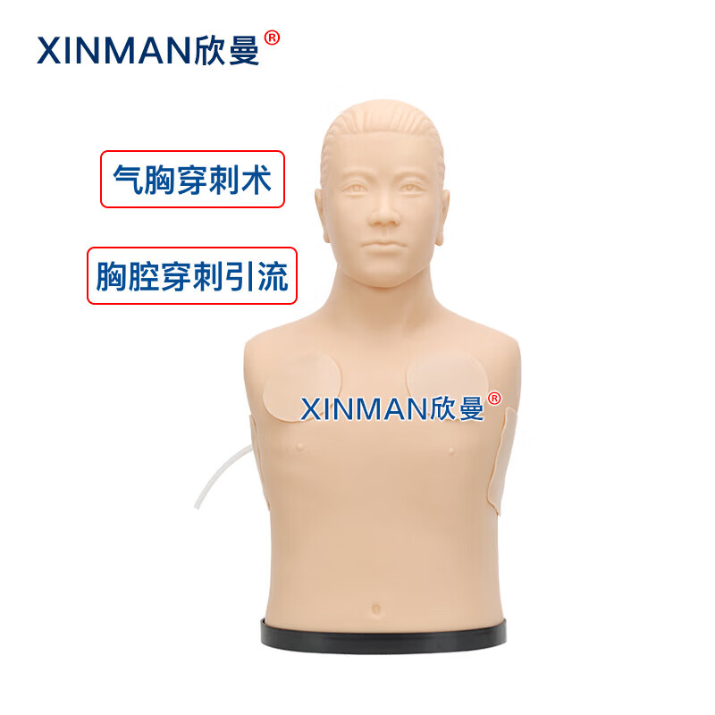 欣曼科教 胸腔穿刺引流模型 胸腔穿刺模拟训练模块XM-2021高清大图