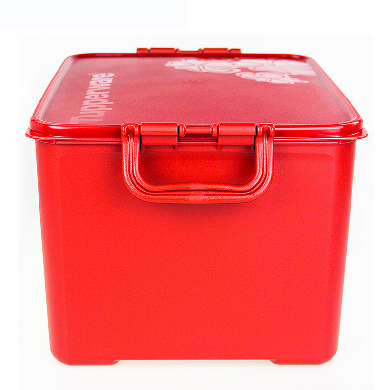 特百惠(Tupperware)醇美腌泡箱15.5L制作酵素必备泡果醋果汁果蜜葡萄酒泡菜保鲜盒 腌泡箱+滤筛
