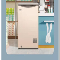 星星111升卧式单温冷柜BD/BC-111KV