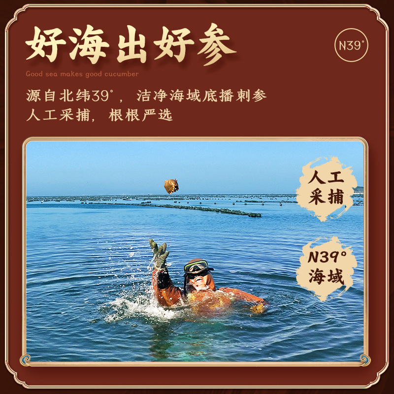 苏鲜生[苏宁自主品牌]冷冻即食海参 13-17头/400g/包*3包 优质大连海参 辽刺参 人工捕采 营养美味