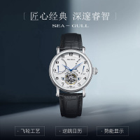 海鸥表(SEAGULL)手表 男 飞轮系列 休闲 时尚 自动机械表 男士手表819.317 白盘日历