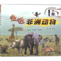 走近非洲动物 冯羽 主编 少儿 文轩网