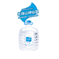巴马丽琅长绿山神仙泉11.3Lx1瓶/箱 巴马活性矿泉水