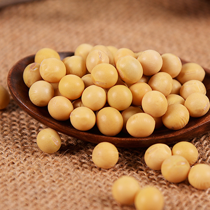 绿帝有机黄豆300g*2袋高清大图