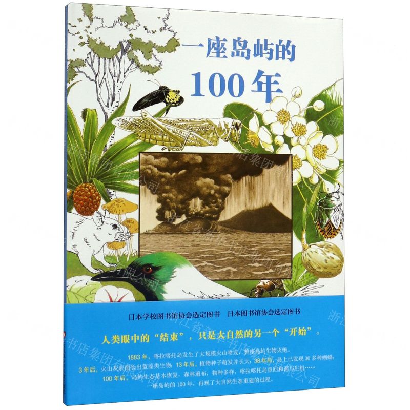 [N]一座岛屿的100年(精)-9787558415128高清大图