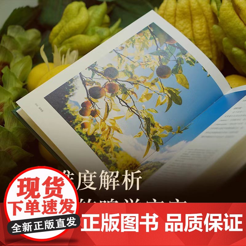 调香盘 让娜 多雷 主编 调香师的原料百宝箱 开启芳香探索之旅 了解大牌香水背后的创作秘密 中信出版社图书 正版高清大图