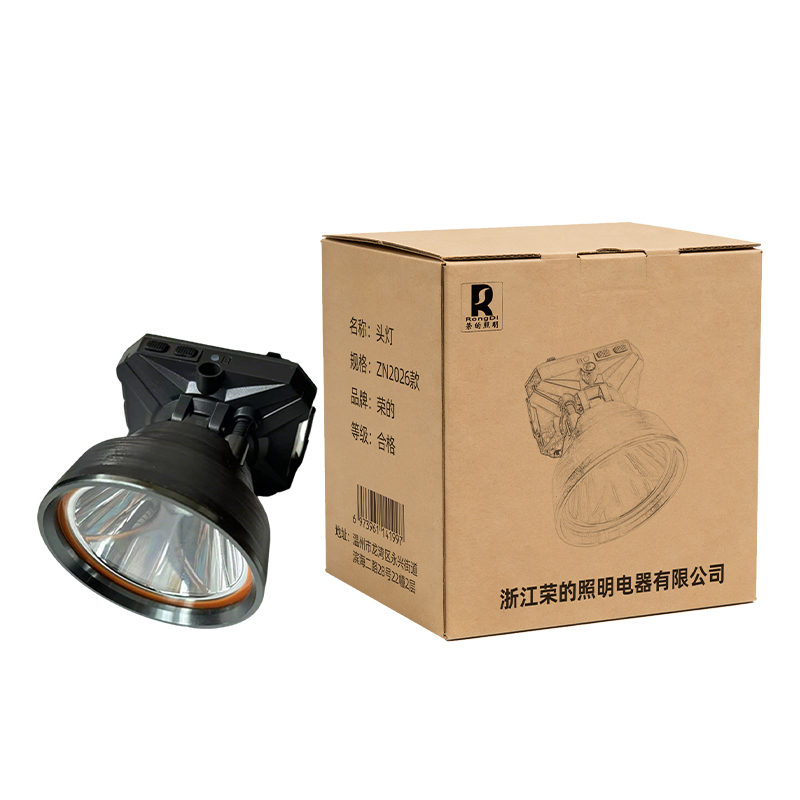 RS 荣的头灯 ZN2026款 个高清大图