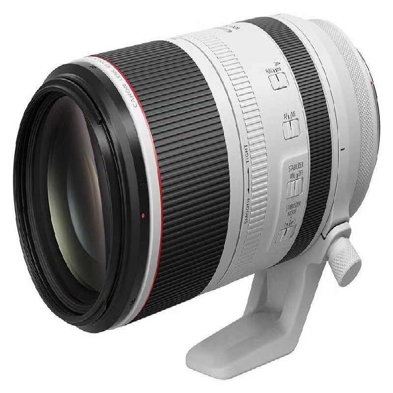 佳能RF 100-500mm F4.5-7.1 L IS USM 专业长焦镜头 防抖光学稳定 超强变焦 画质清晰高清大图