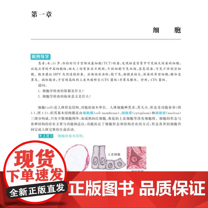 《人体解剖学与组织胚胎学》(彩色全媒体版)人体装组织学、人体胚胎学高清大图