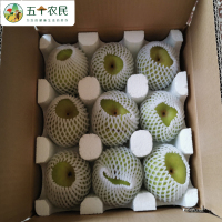 [五个农民]湖北省农科院百里洲砂梨精品金蜜脆梨5斤应季新鲜水果